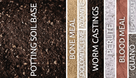 1595768671022.png 1595768671022.png