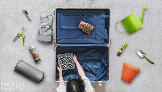 1596029618695.png 1596029618695.png