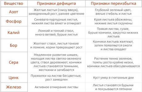 Признаки дефицита и переизбытка питательных веществ Признаки дефицита и переизбытка питательных веществ