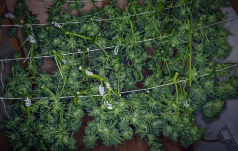 1596449205862.png 1596449205862.png