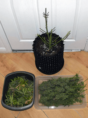 1597858328709.png 1597858328709.png