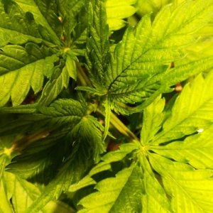 week4.2.jpg week4.2.jpg