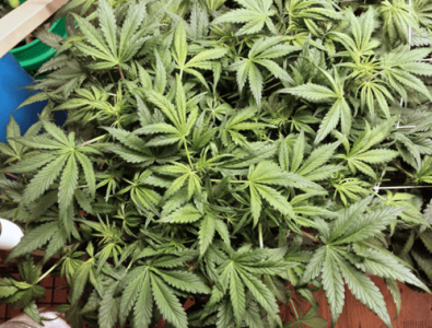 1598993394705.png 1598993394705.png