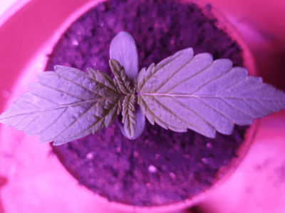 1599387719234.png 1599387719234.png