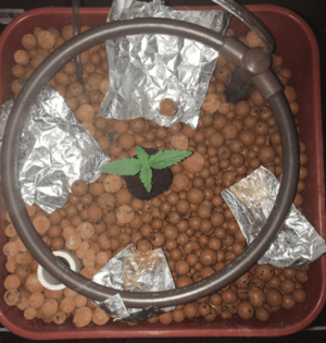 1600688379511.png 1600688379511.png