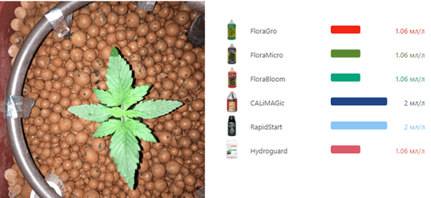 1600688385913.png 1600688385913.png