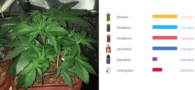 1600688394532.png 1600688394532.png