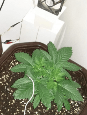 1601379878633.png 1601379878633.png