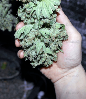 1602333048970.png 1602333048970.png