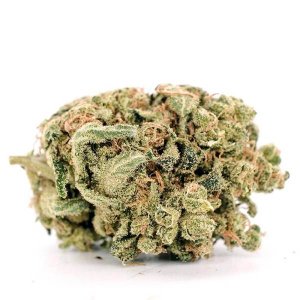 girl_scout_cookies_AA.jpg girl_scout_cookies_AA.jpg