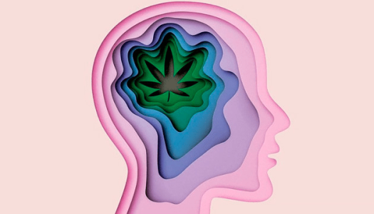 1605812826643.png 1605812826643.png