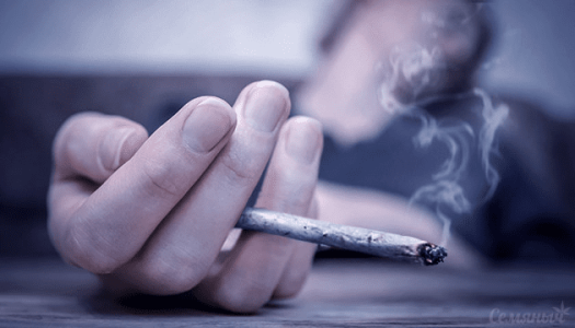 1607377988908.png 1607377988908.png