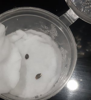 20220317_122042.jpg 20220317_122042.jpg