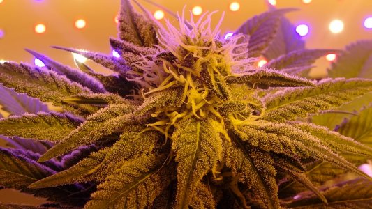 DSC00059.jpg DSC00059.jpg