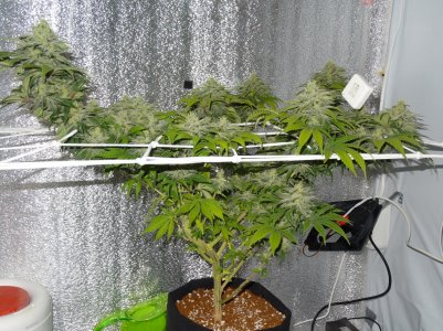 DSC00080.jpg DSC00080.jpg