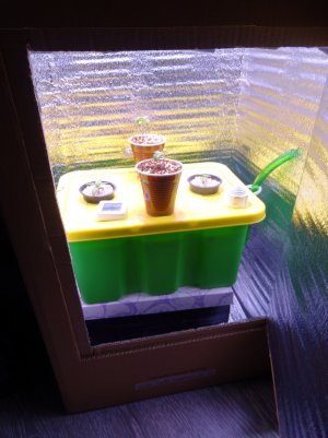 DSC00101.jpg DSC00101.jpg