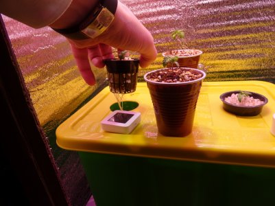 DSC00102.jpg DSC00102.jpg