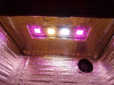 DSC00103.jpg DSC00103.jpg