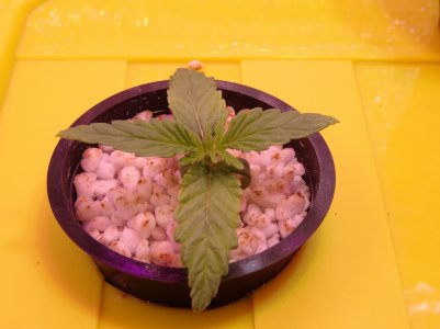 DSC00105.jpg DSC00105.jpg