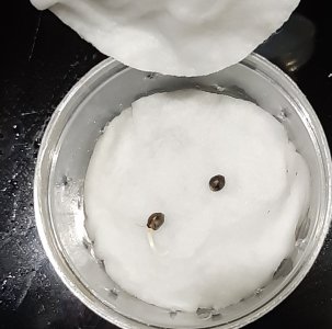 20220318_060314.jpg 20220318_060314.jpg