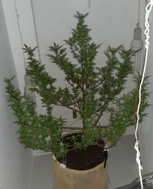 20220318_083354.jpg 20220318_083354.jpg