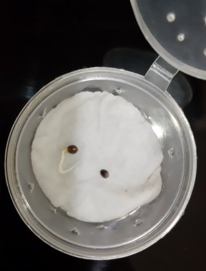 20220319_110032.jpg 20220319_110032.jpg