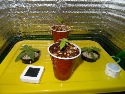 DSC00111.jpg DSC00111.jpg