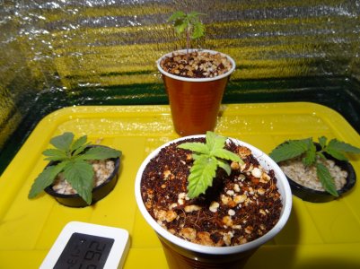 DSC00113.jpg DSC00113.jpg