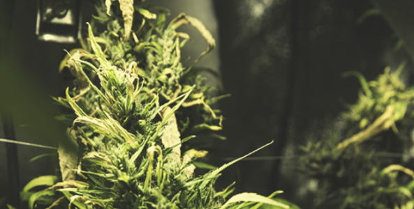 1647724343775.png 1647724343775.png