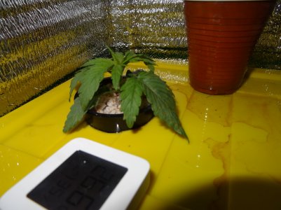 DSC00128.jpg DSC00128.jpg