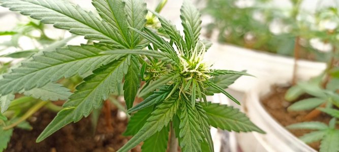 0_IMG_20220323_222457.jpg 0_IMG_20220323_222457.jpg