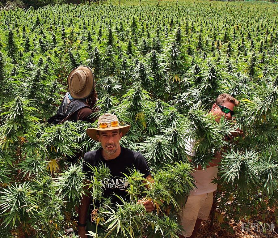 4e58ca18d0c5030e0bc8e50701577b02ec6c0c75.jpg 4e58ca18d0c5030e0bc8e50701577b02ec6c0c75.jpg