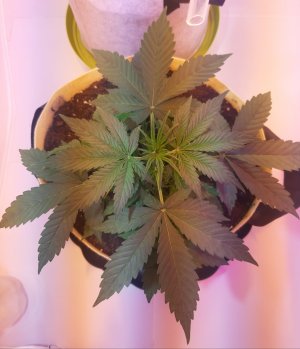 20220328_093030.jpg 20220328_093030.jpg