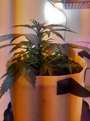 20220328_111343.jpg 20220328_111343.jpg