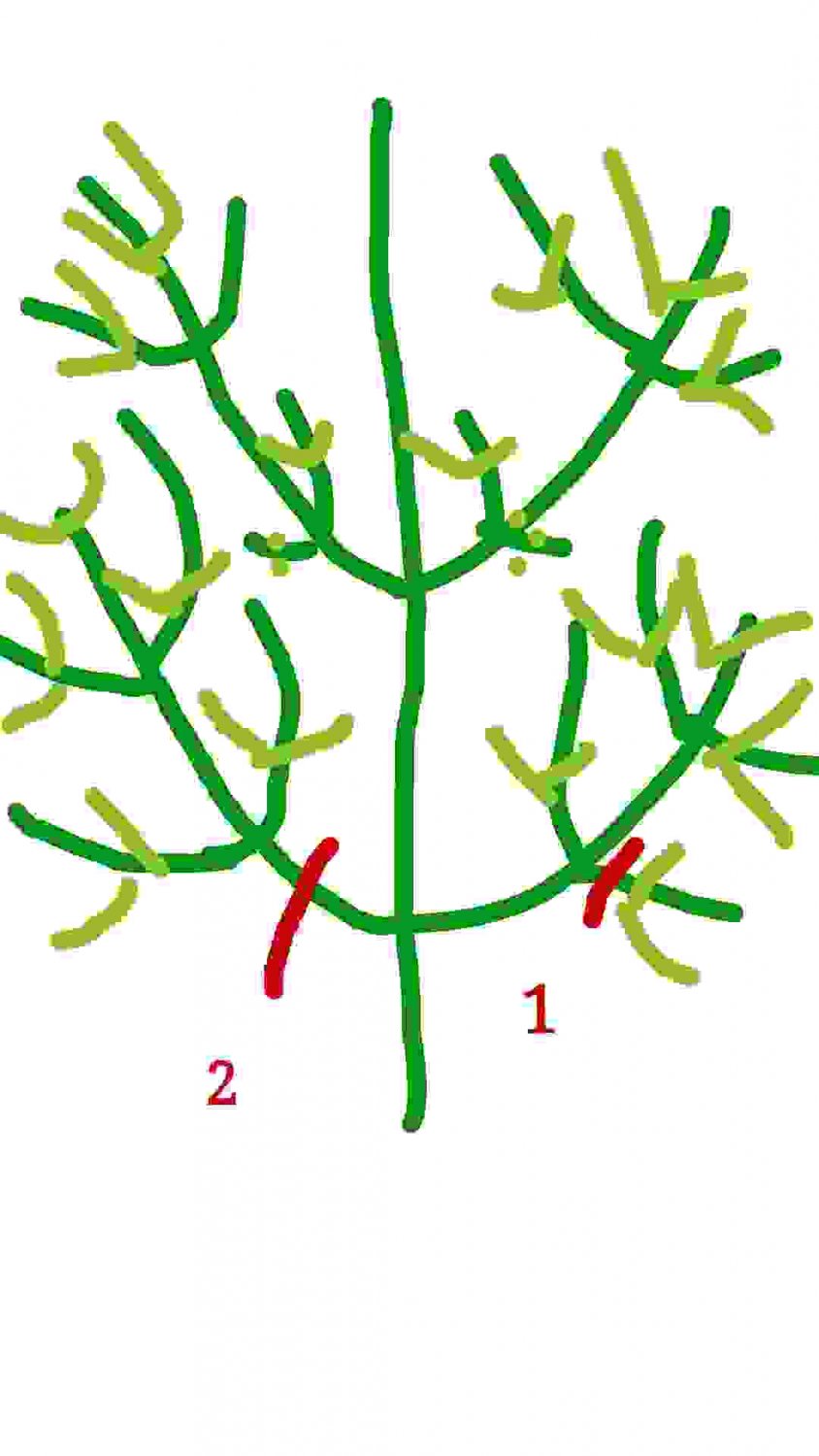 image1.jpg image1.jpg