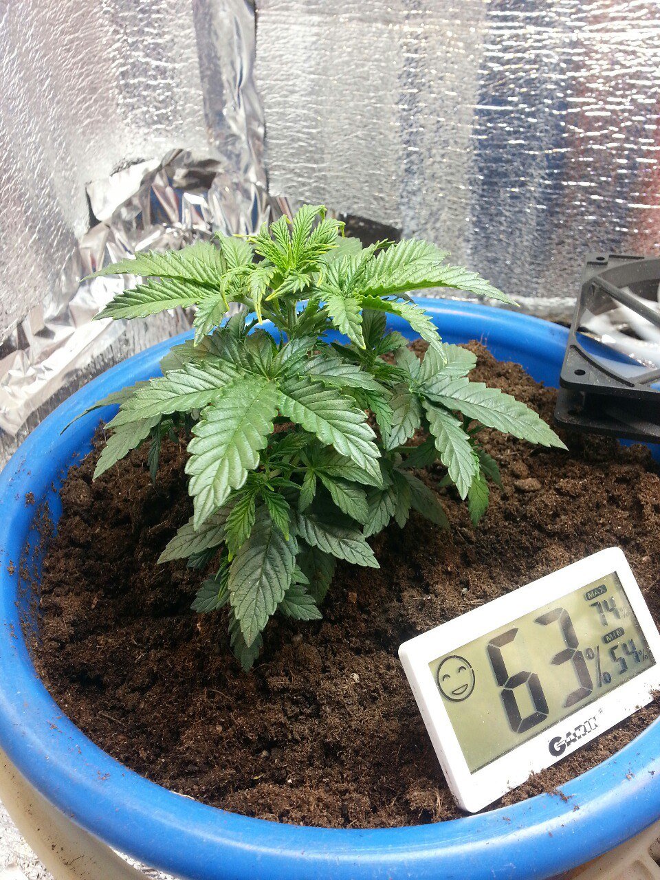 IMG_20220403_070319_608.jpg IMG_20220403_070319_608.jpg