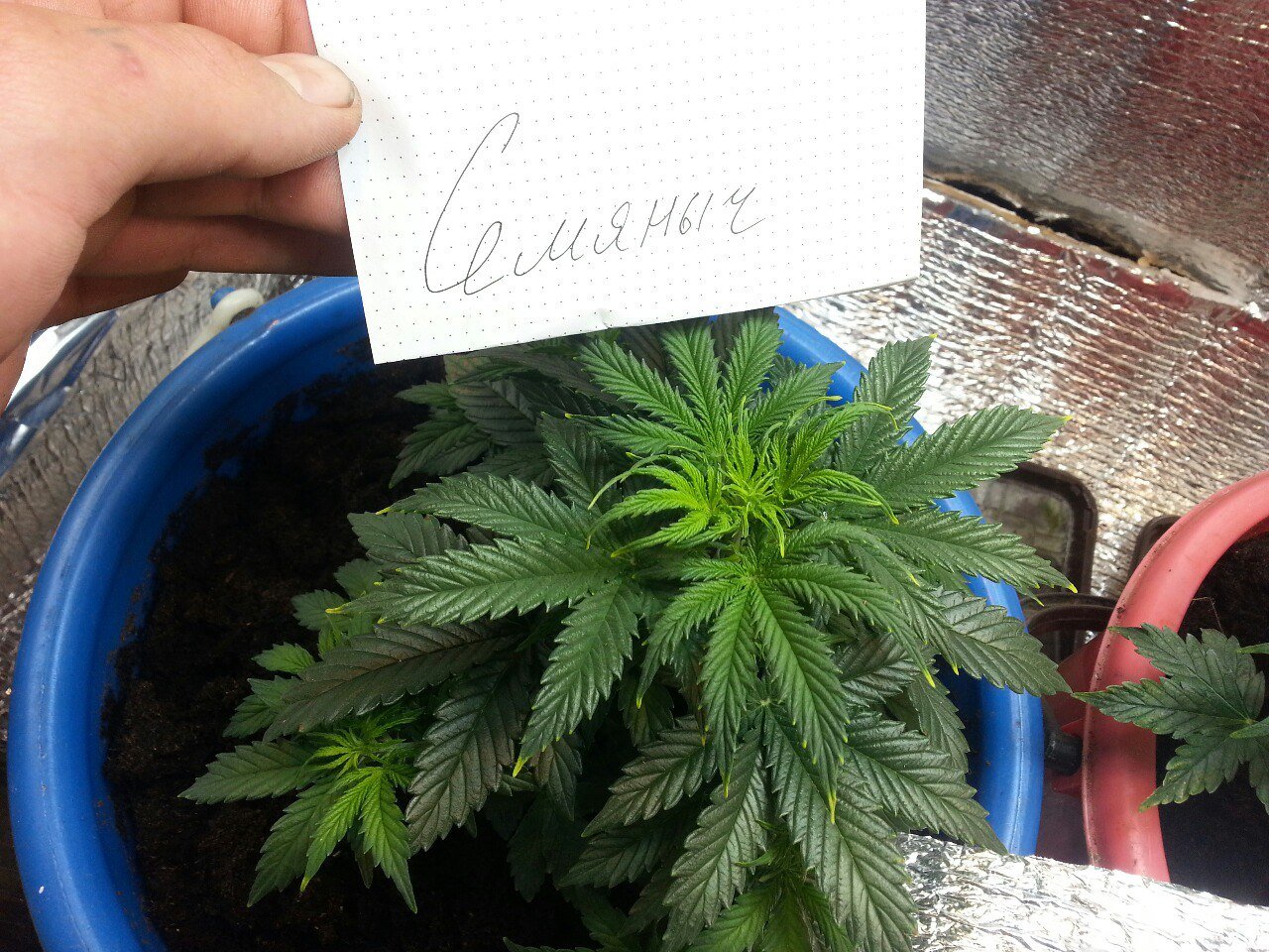 IMG_20220403_070405_487.jpg IMG_20220403_070405_487.jpg