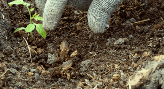 1649090203854.png 1649090203854.png