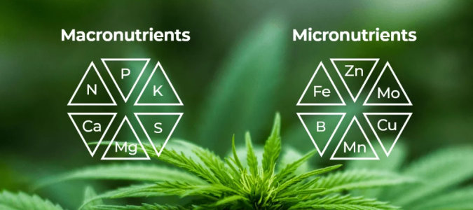 1731418371450.png 1731418371450.png