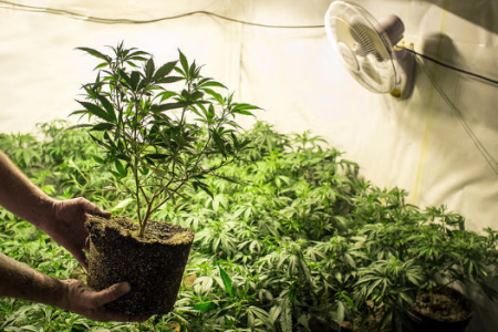 1731530872689.png 1731530872689.png