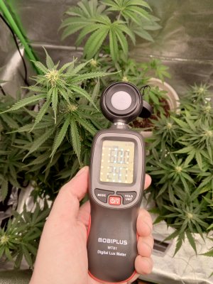 IMG_20241123_203518_583.jpg IMG_20241123_203518_583.jpg