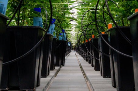 1732992308821.png 1732992308821.png