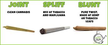 1733080841568.png 1733080841568.png