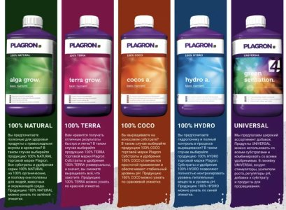 IMG_8855.jpeg IMG_8855.jpeg