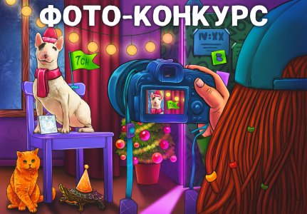 1734341946021.jpeg 1734341946021.jpeg