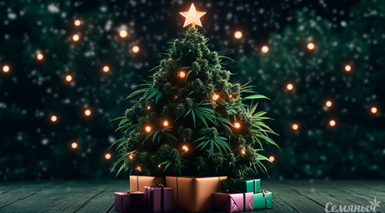 1735575651152.png 1735575651152.png