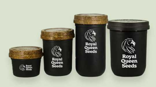 1736440088365.png 1736440088365.png