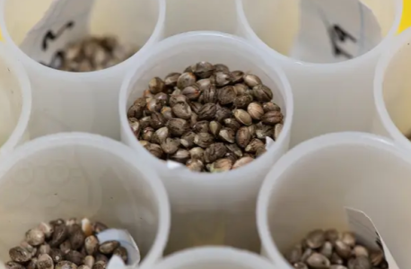 1736446550010.png 1736446550010.png