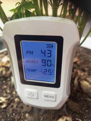 IMG_20250114_194223_753.jpg IMG_20250114_194223_753.jpg