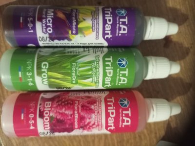 IMG_20250115_051057_663.jpg IMG_20250115_051057_663.jpg